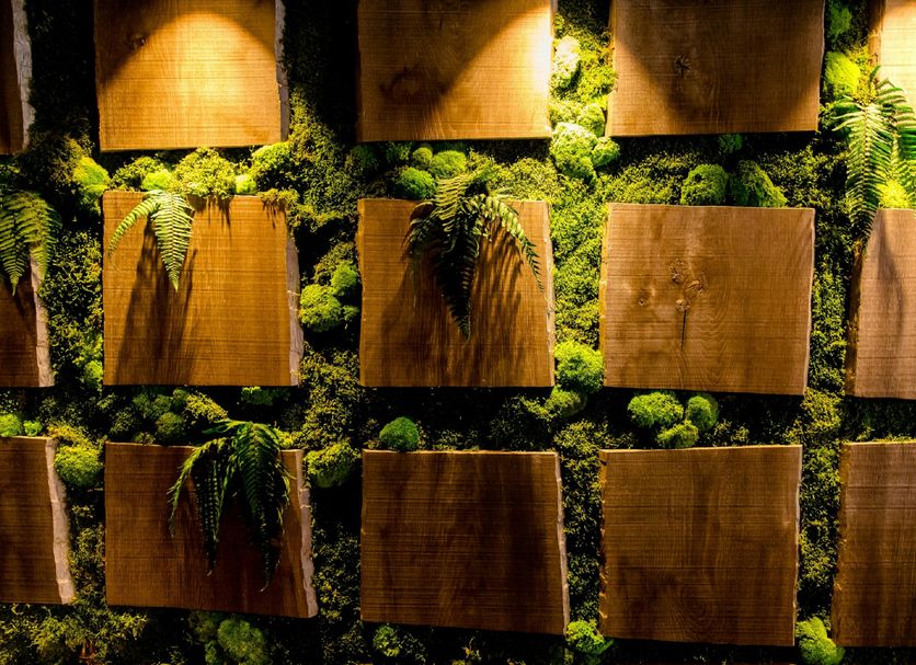 Bar Φωτογραφία