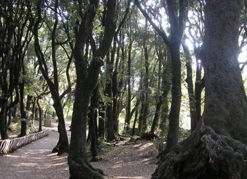 Θέα στην ύπαιθρο Φωτογραφία