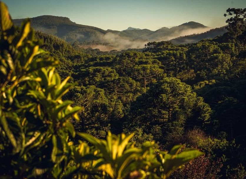 Θέα στην ύπαιθρο Φωτογραφία