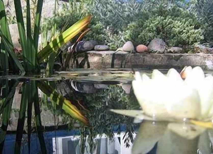 Θέα στην ύπαιθρο Φωτογραφία