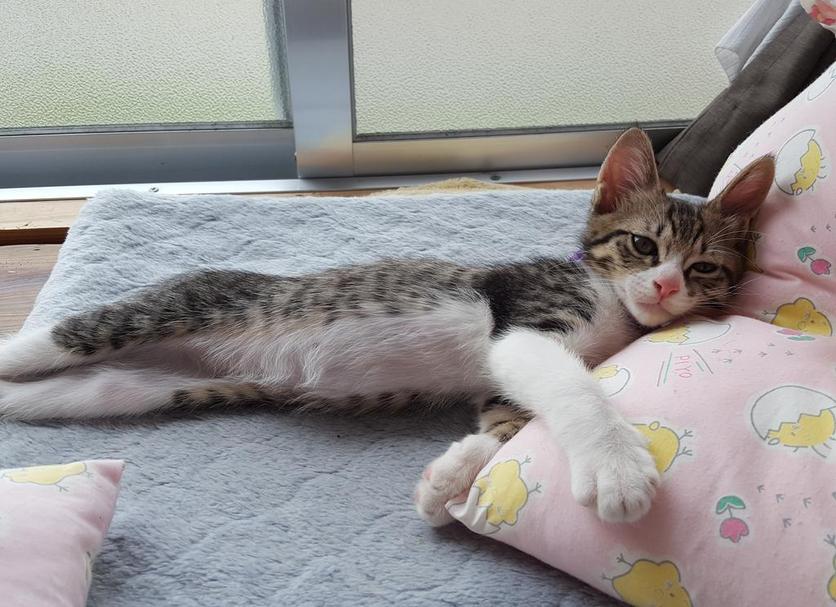 Άλλο Φωτογραφία