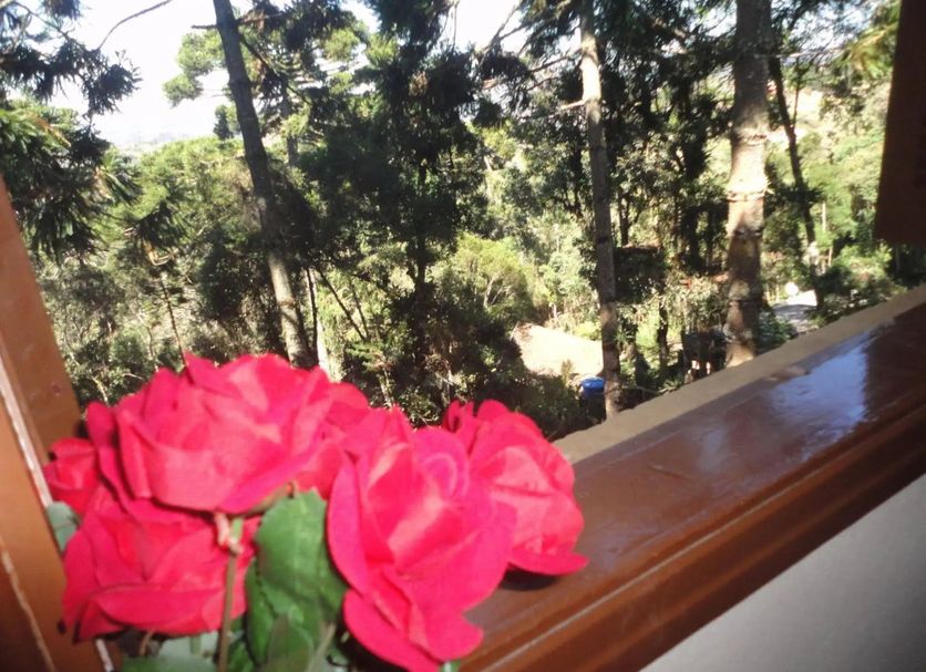 Άλλο Φωτογραφία