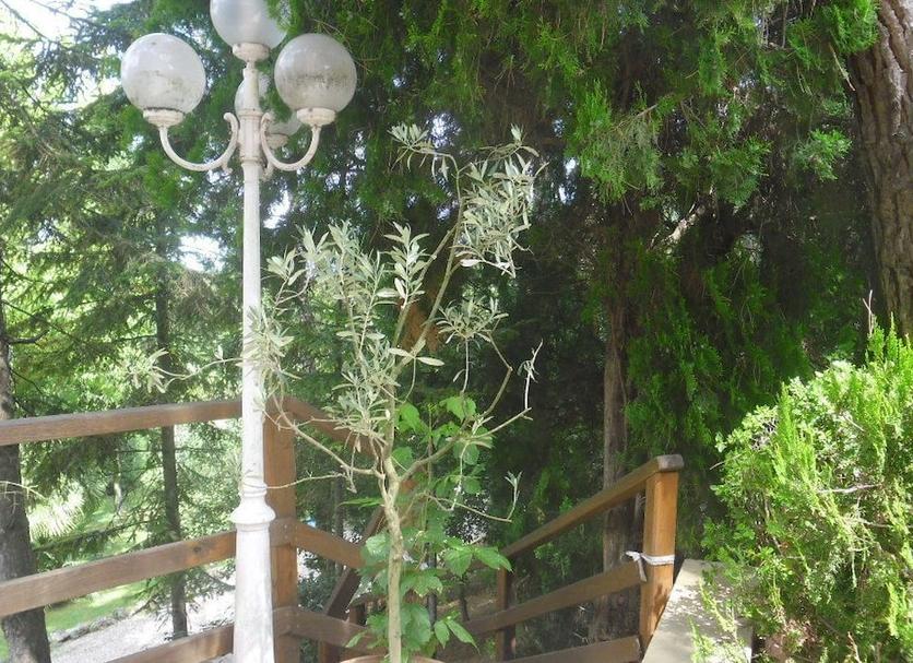 Θέα στην ύπαιθρο Φωτογραφία