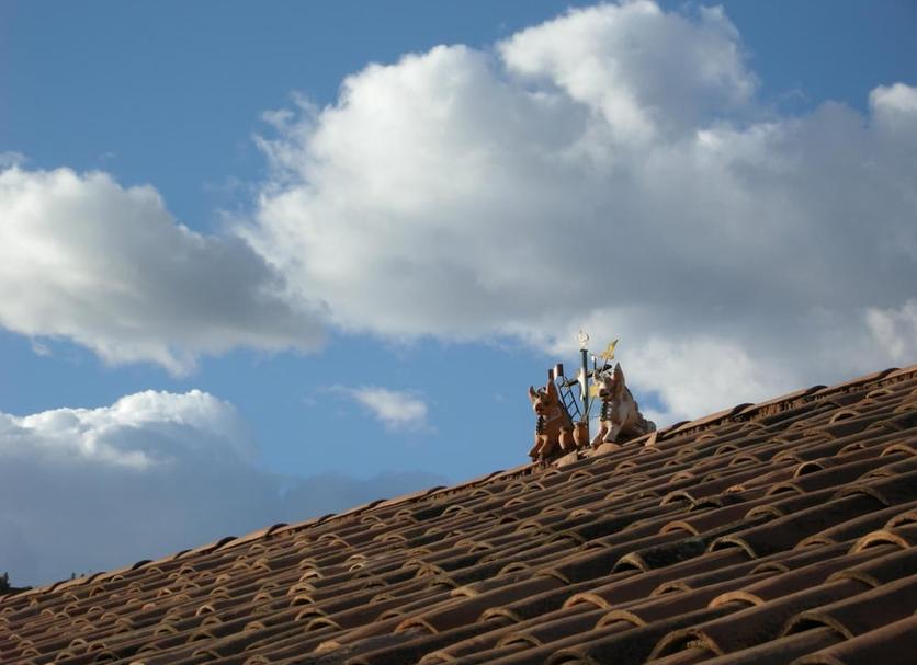 Κρεβατοκάμαρα Φωτογραφία