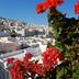 Θέα στην ύπαιθρο