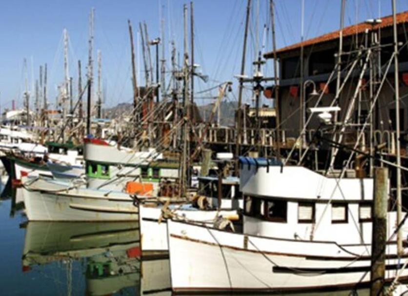 Θέα στην ύπαιθρο Φωτογραφία