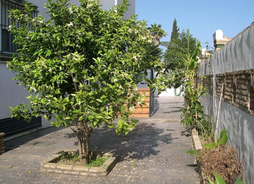 Θέα στην ύπαιθρο Φωτογραφία