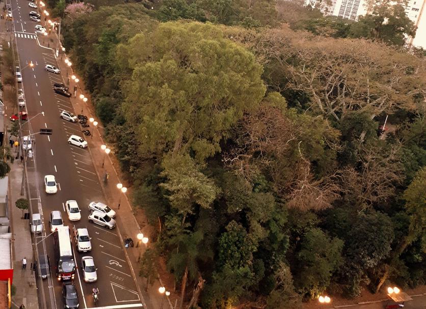 Θέα στην ύπαιθρο Φωτογραφία