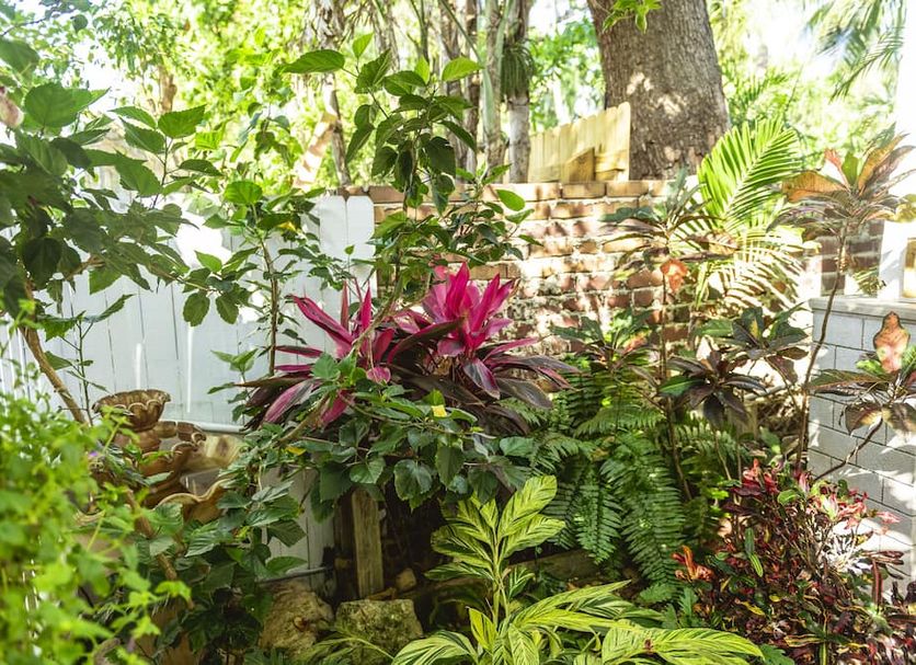 Θέα στην ύπαιθρο Φωτογραφία