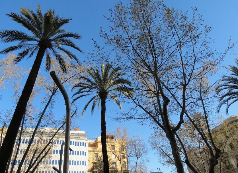 Θέα στην ύπαιθρο Φωτογραφία