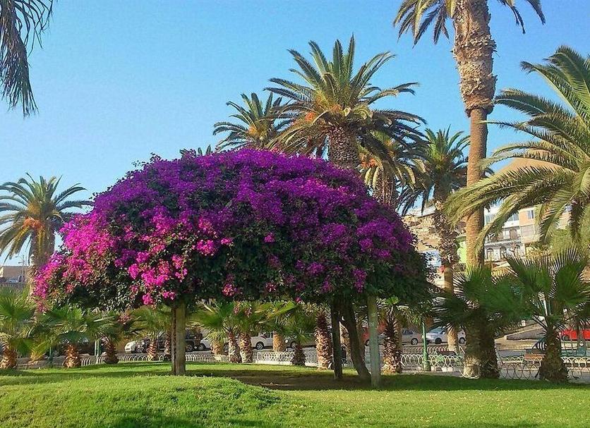 Θέα στην ύπαιθρο Φωτογραφία