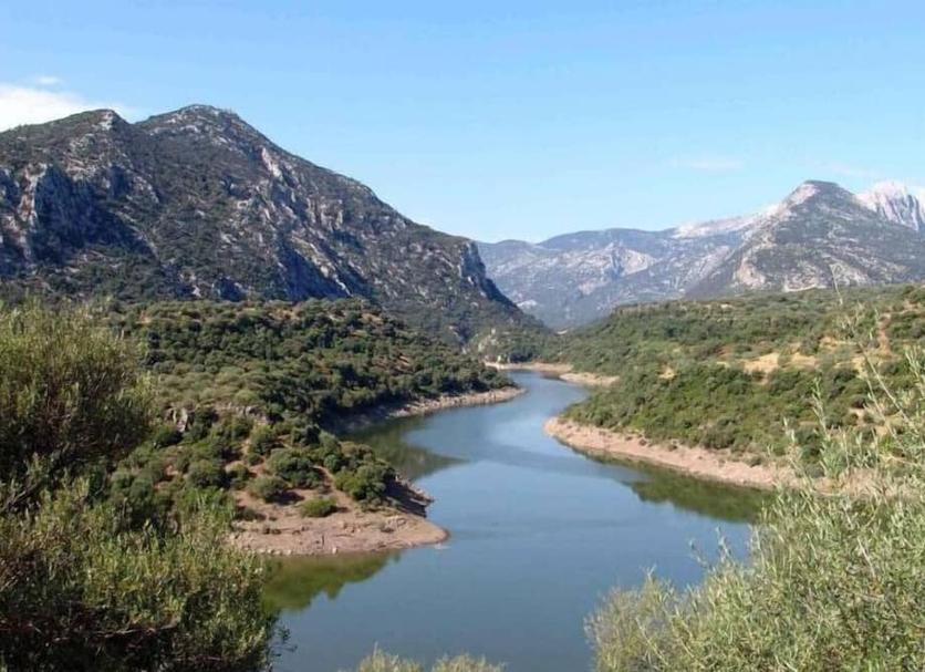 Άλλο Φωτογραφία