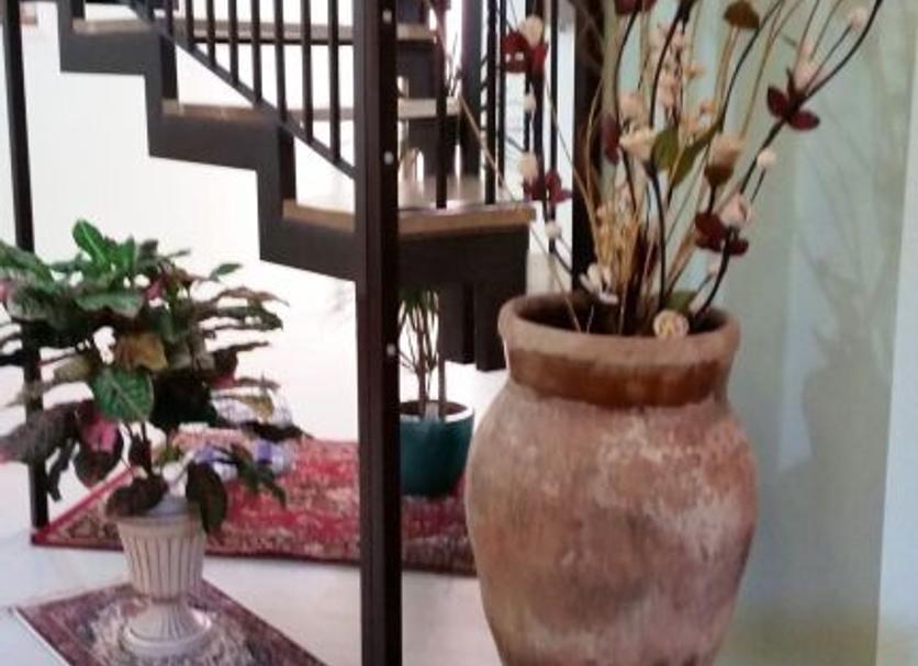 Άλλο Φωτογραφία