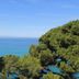 Θέα στην ύπαιθρο