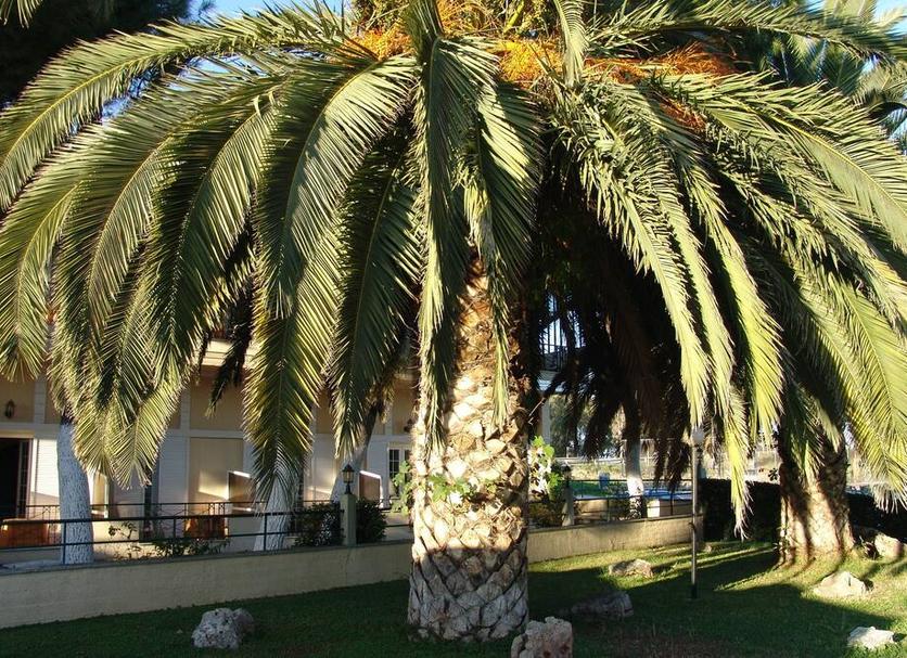 Θέα στην ύπαιθρο Φωτογραφία