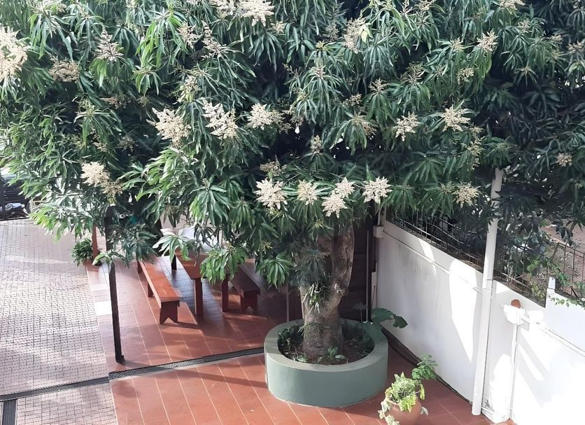 Σαλόνι ξενοδοχείου Φωτογραφία