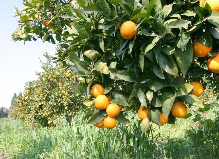 Θέα στην ύπαιθρο Φωτογραφία