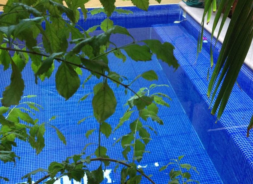 Πισίνα Φωτογραφία