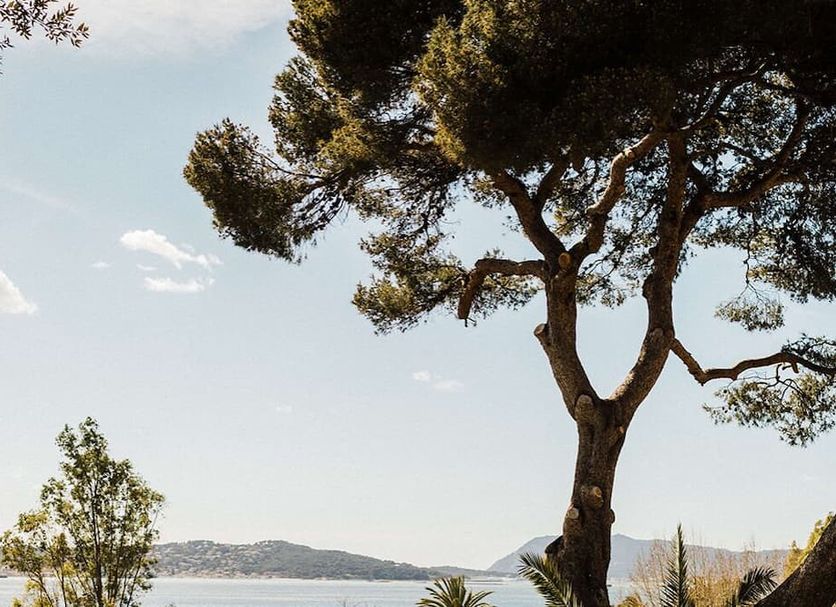 Θέα στην ύπαιθρο Φωτογραφία