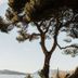 Θέα στην ύπαιθρο