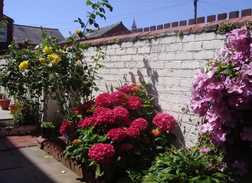 Άλλο Φωτογραφία