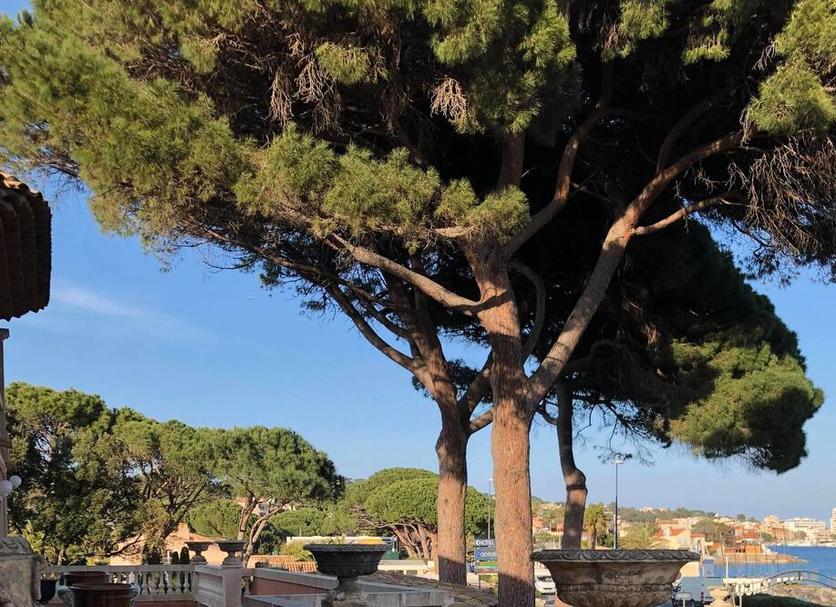 Κρεβατοκάμαρα Φωτογραφία