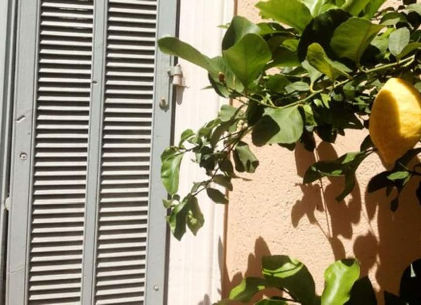 Θέα στην ύπαιθρο Φωτογραφία