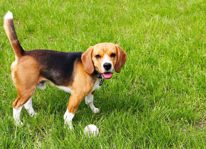 Άλλο Φωτογραφία