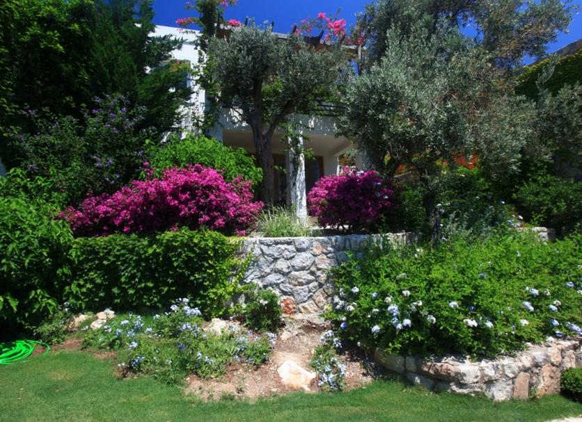 Θέα στην ύπαιθρο Φωτογραφία