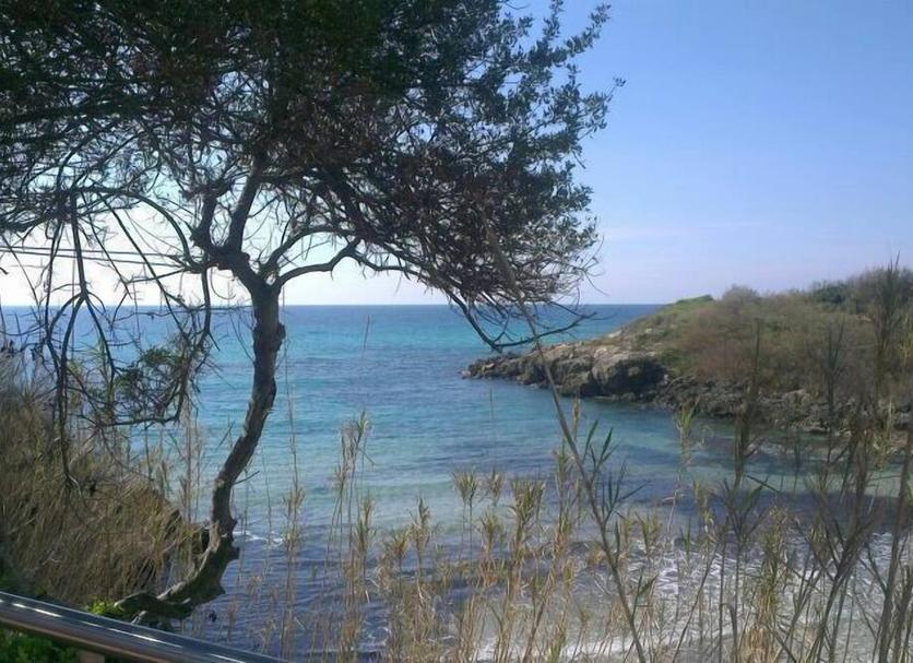 Θέα στην ύπαιθρο Φωτογραφία