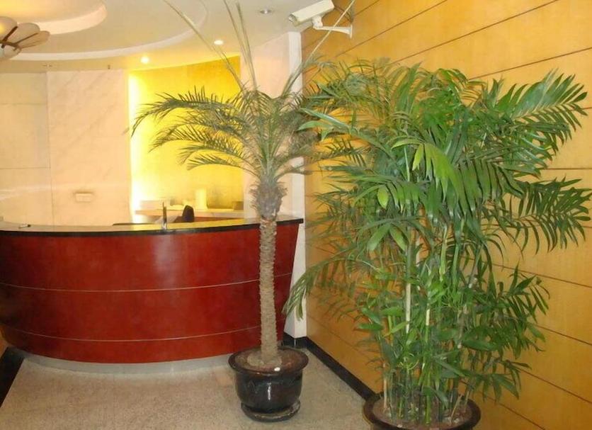 Ρεσεψιόν Φωτογραφία