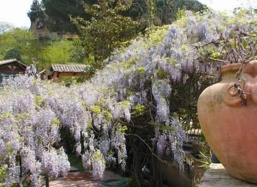 Θέα στην ύπαιθρο Φωτογραφία