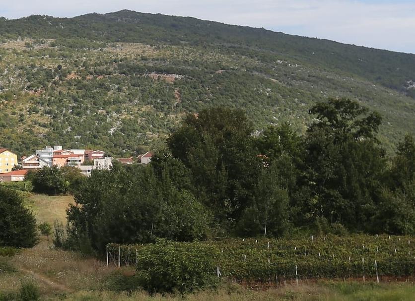 Θέα στην ύπαιθρο Φωτογραφία