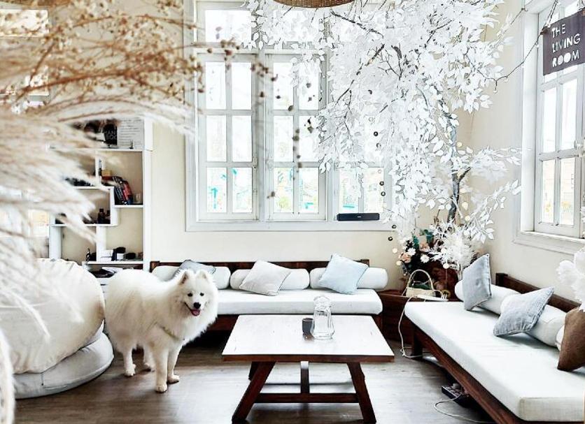 Σαλόνι Φωτογραφία