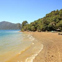 Punga Cove Resort