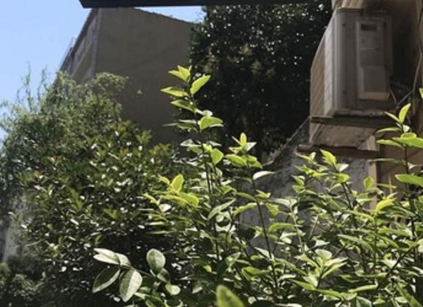 Θέα στην ύπαιθρο Φωτογραφία