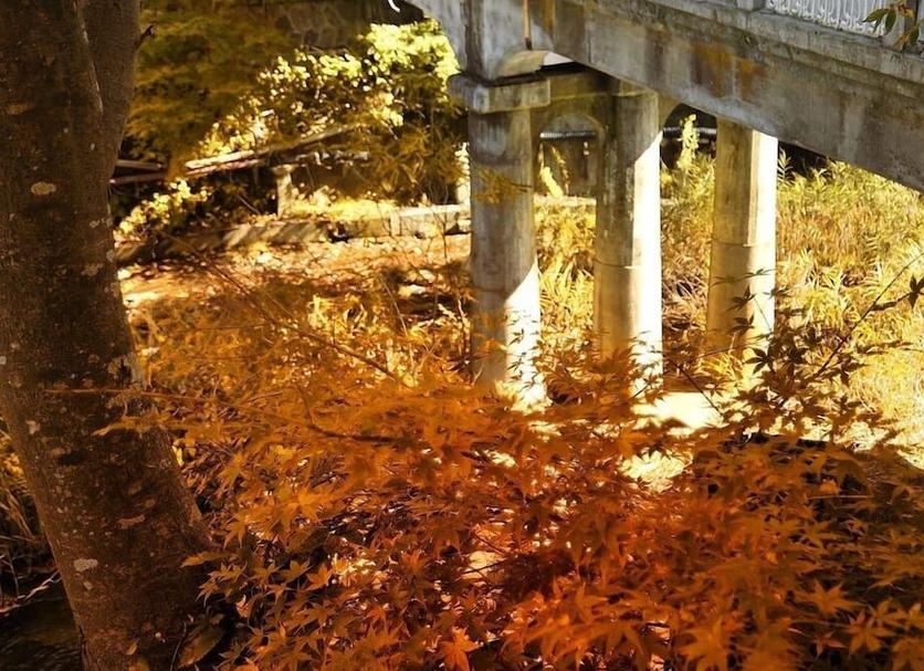 Θέα στην ύπαιθρο Φωτογραφία