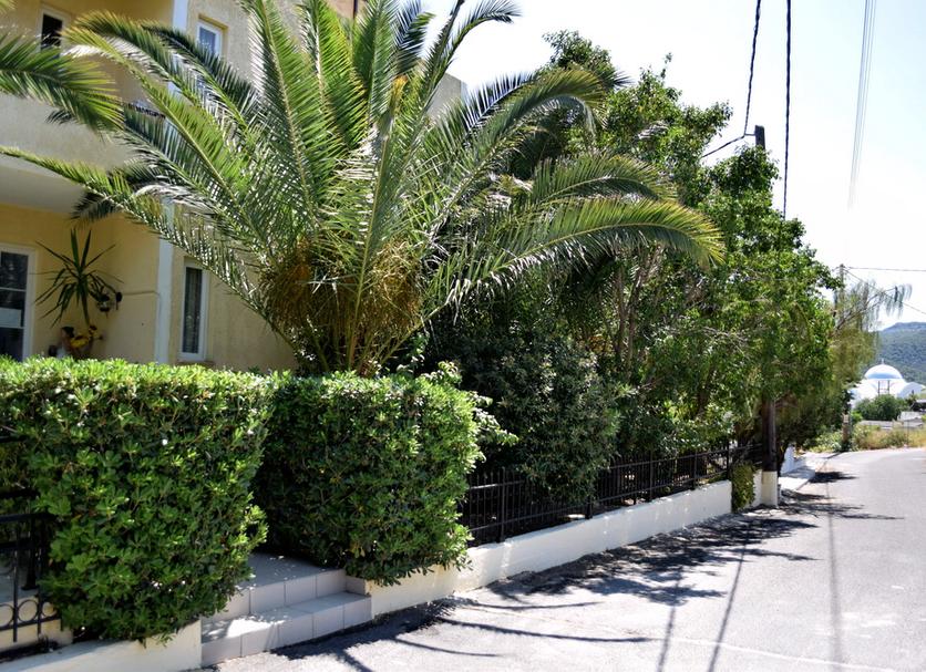 Θέα στην ύπαιθρο Φωτογραφία